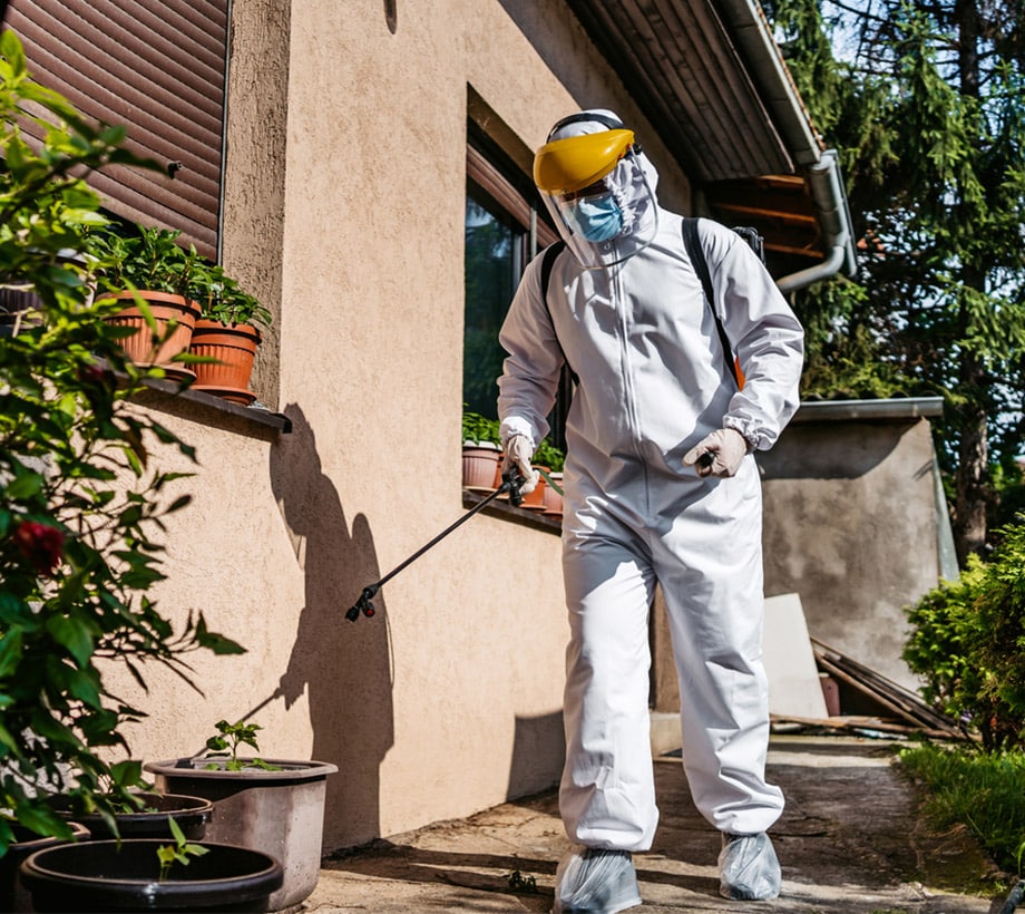 person work on pest control