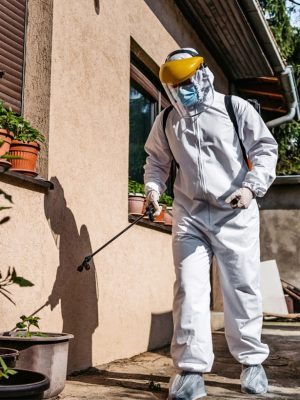person work on pest control